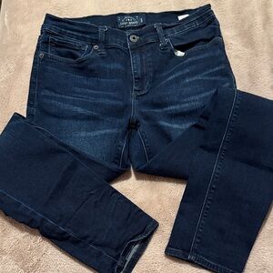 Lucky Brand Women's Deep Indigo Skinny Jeans